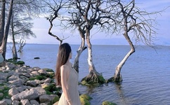 19十主播福利视频